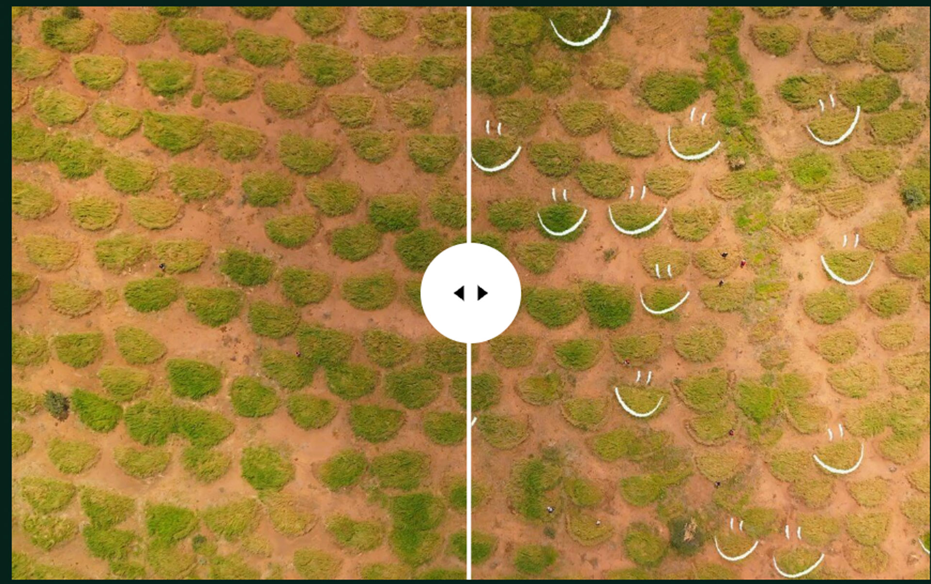 Sasaab Earth Smiles initiative